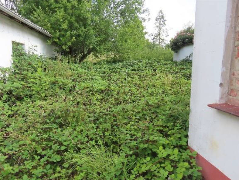 nordrheinwestpfalen 0007 K 0003/2025 Bachstraße 18, 52445 Titz, Hasselsweiler 13