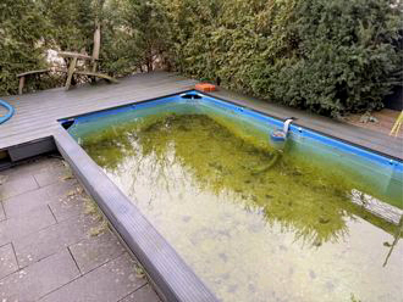 nordrheinwestpfalen 0007 K 0005/2024 Rosmarinstiege 10, 49477 Ibbenbüren 7