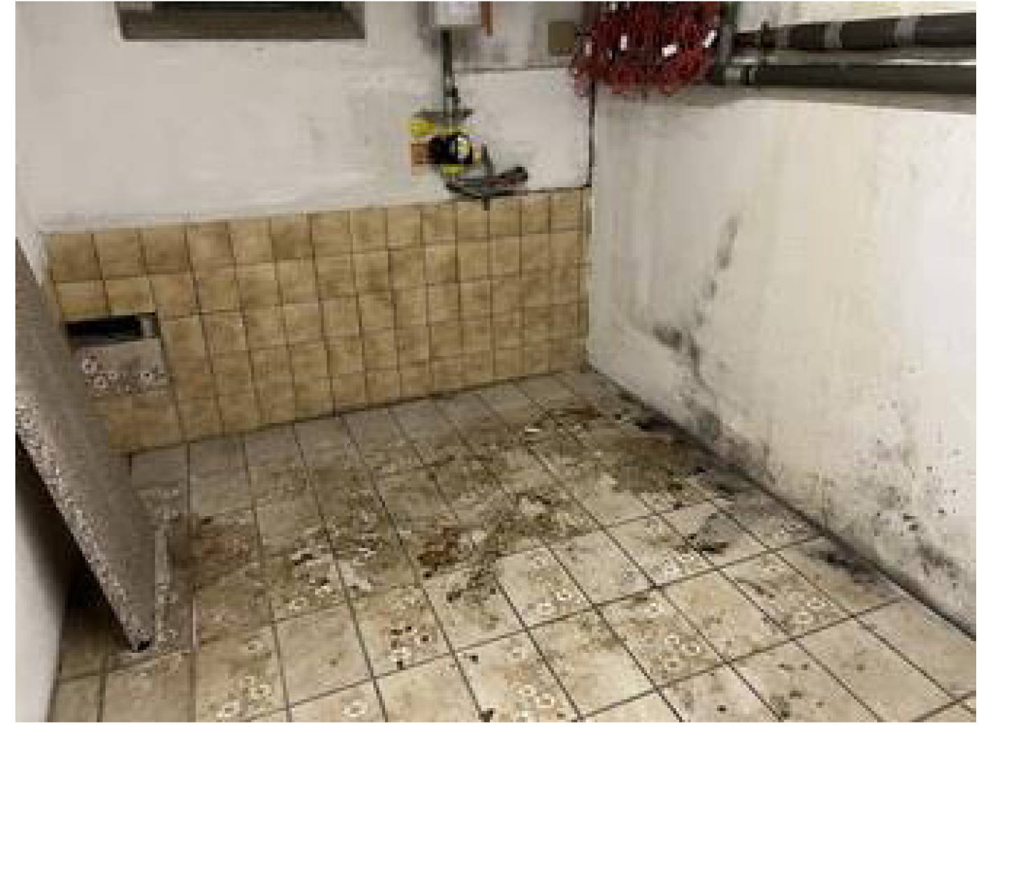 nordrheinwestpfalen 0007K0006-2024 Lehrer-Lämpel-Weg 16, 49479 Ibbenbüren 12