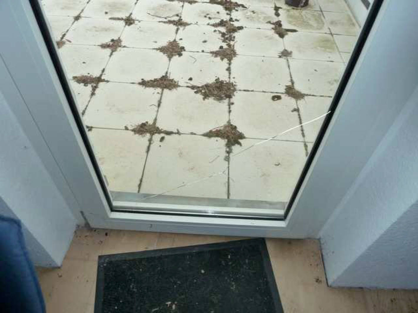 nordrheinwestpfalen 0007 K 0010/2023 Bergstrang 50, 49479 Ibbenbüren 16