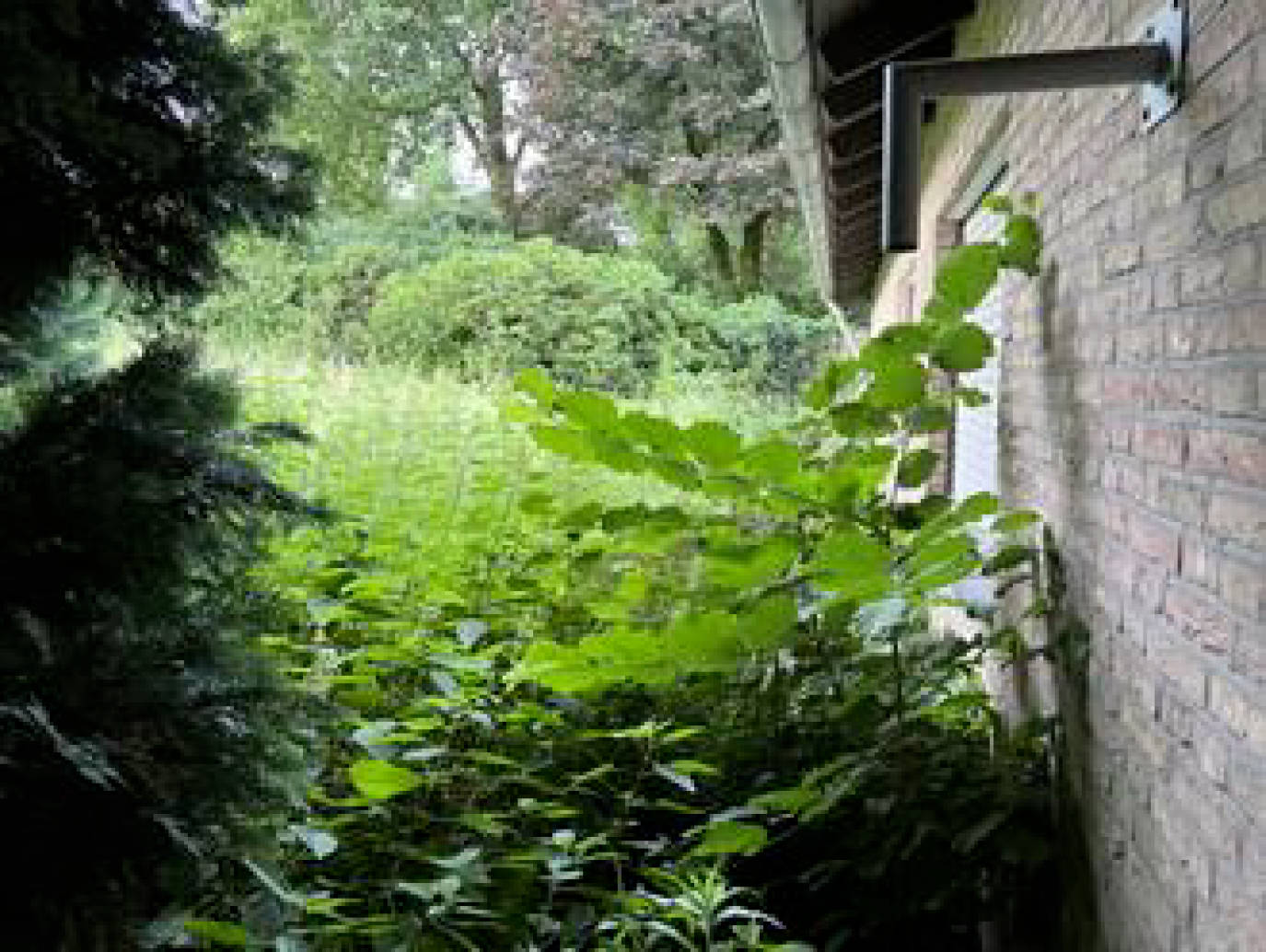 Einfamilienhaus, mit 2 integrierten Garagen in Teichstraße 11, 49497 Mettingen - Bild 5