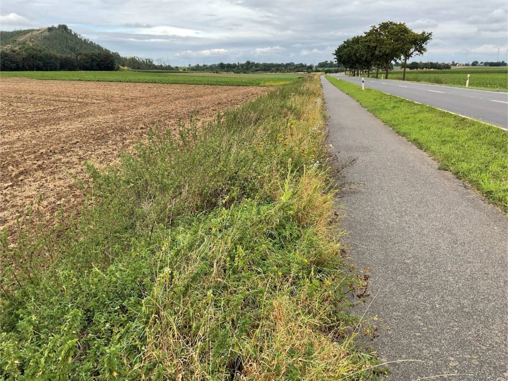 nordrheinwestpfalen 0007K0012-2024 Von Siersdorf nach Freialdenhoven K 12, 52457 Aldenhoven, Freialdenhoven