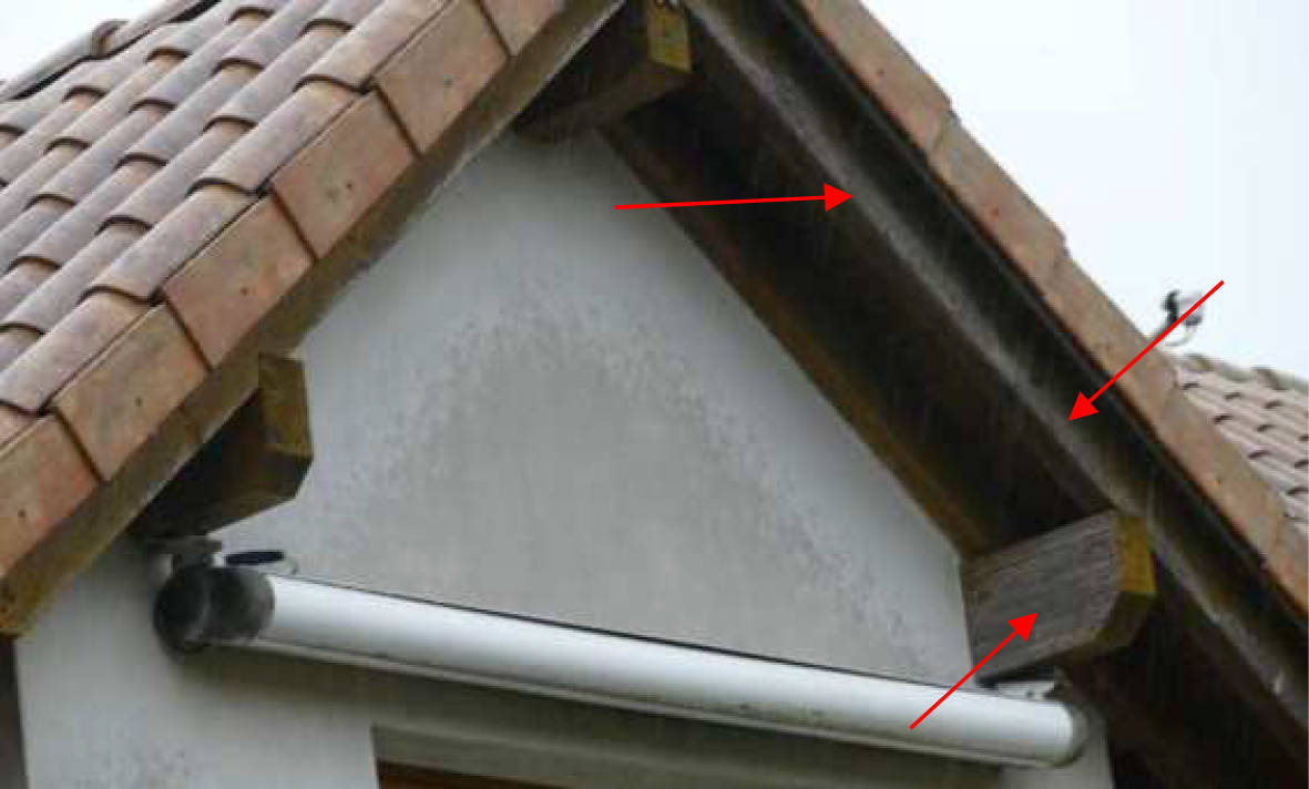 nordrheinwestpfalen 0007 K 0013/2023 Raiffeisenstraße 8, 8 a, 49509 Recke 15