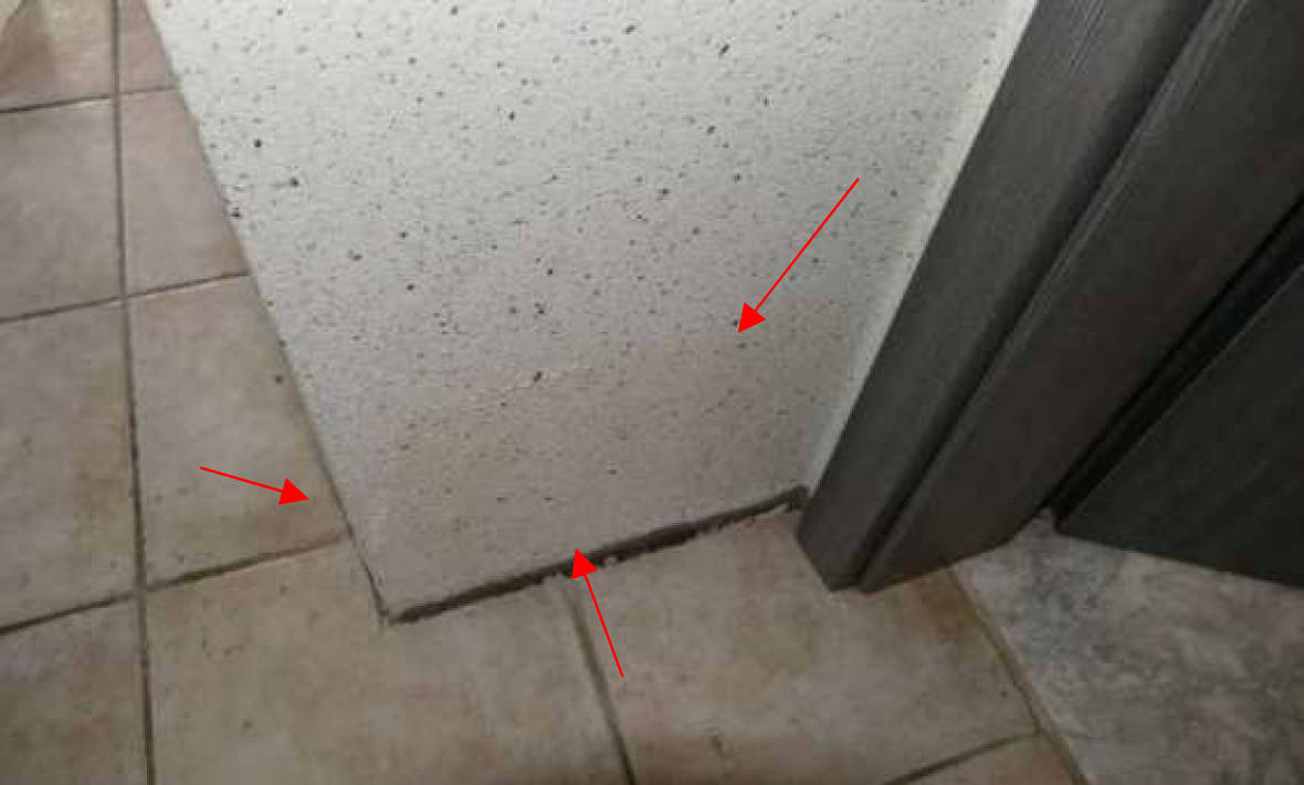 nordrheinwestpfalen 0007 K 0014/2023 Falkenweg 8, 48496 Hopsten, Halverde 11