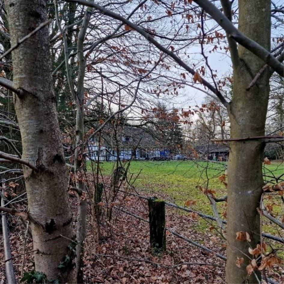 Einfamilienhaus, und Stallungen in Weidmannsheil 151, 45481 Mülheim an der Ruhr, Selbeck - Bild 3