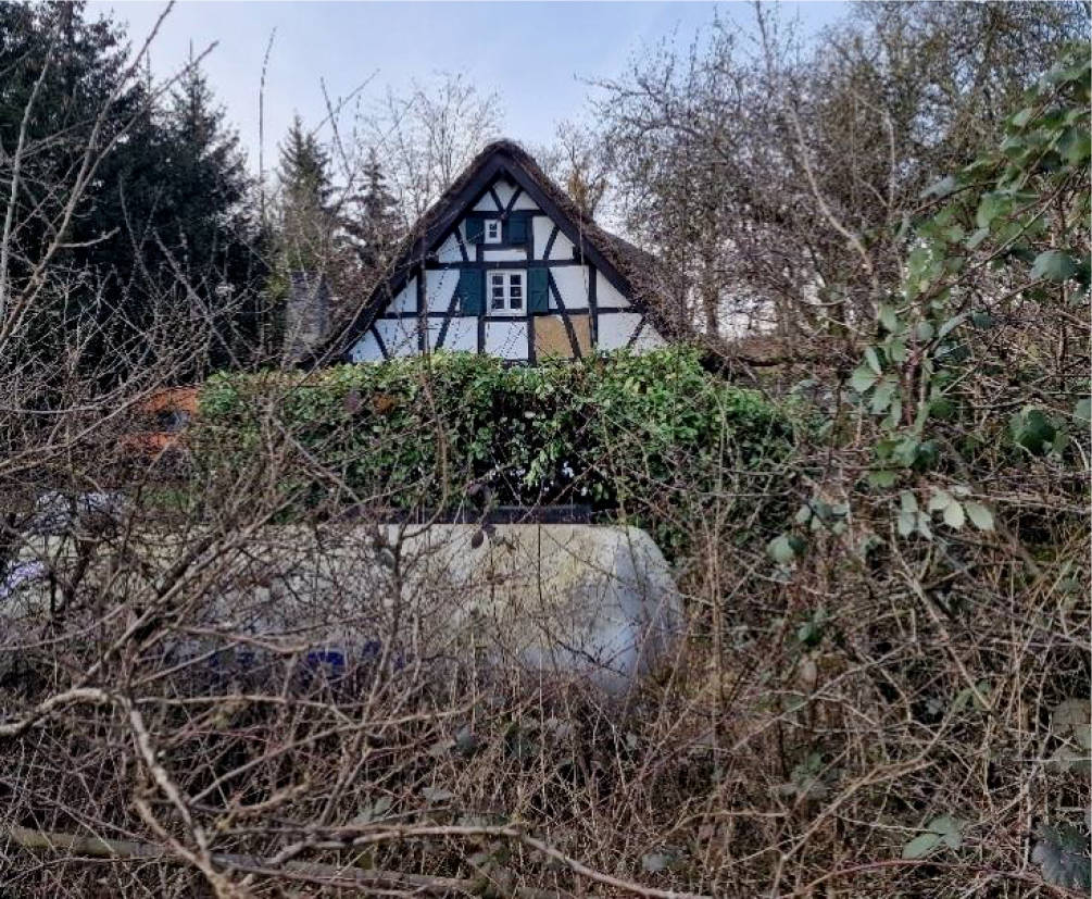 Einfamilienhaus, und Stallungen in Weidmannsheil 151, 45481 Mülheim an der Ruhr, Selbeck - Bild 5