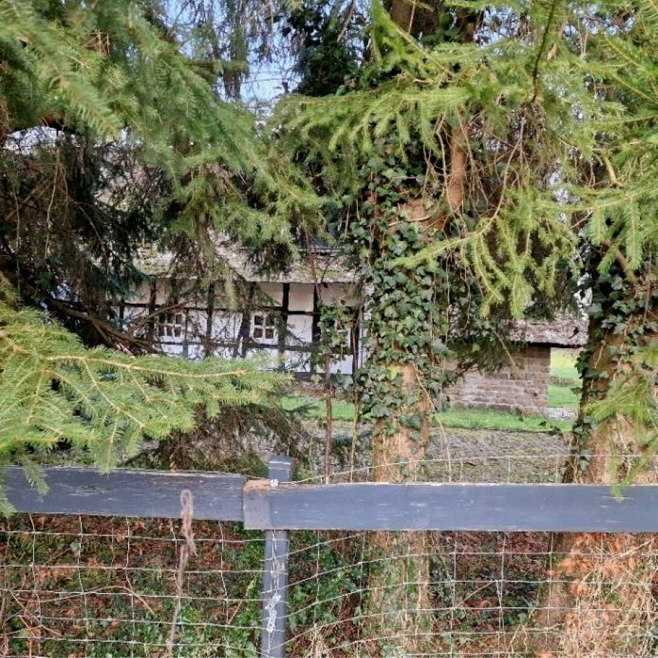 nordrheinwestpfalen 0007 K 0016/2024 Weidmannsheil 151, 45481 Mülheim an der Ruhr, Selbeck 10