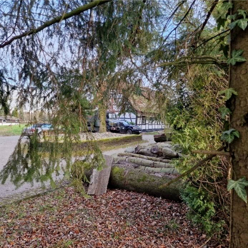 nordrheinwestpfalen 0007 K 0016/2024 Weidmannsheil 151, 45481 Mülheim an der Ruhr, Selbeck 7