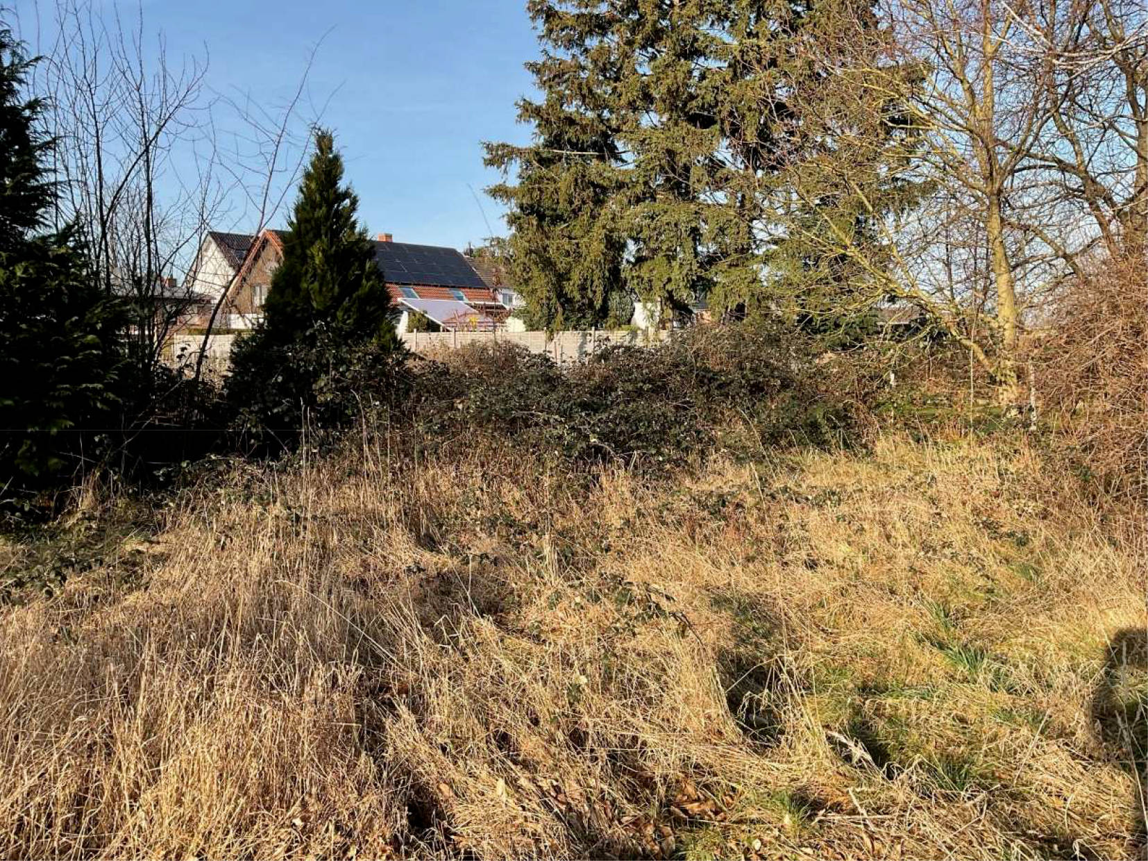 nordrheinwestpfalen 0007 K 0021/2025 Frenzer Driesch, 52459 Inden, Frenz 5