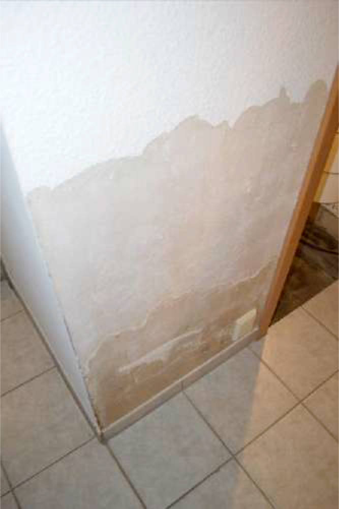 nordrheinwestpfalen 0007 K 0029/2024 Möllhofstr., 45475 Mülheim an der Ruhr, Dümpten 12