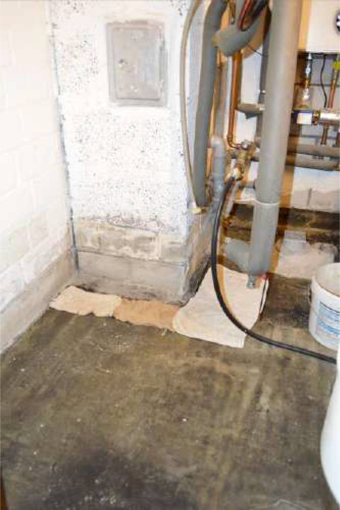 nordrheinwestpfalen 0007 K 0029/2024 Möllhofstr., 45475 Mülheim an der Ruhr, Dümpten 11