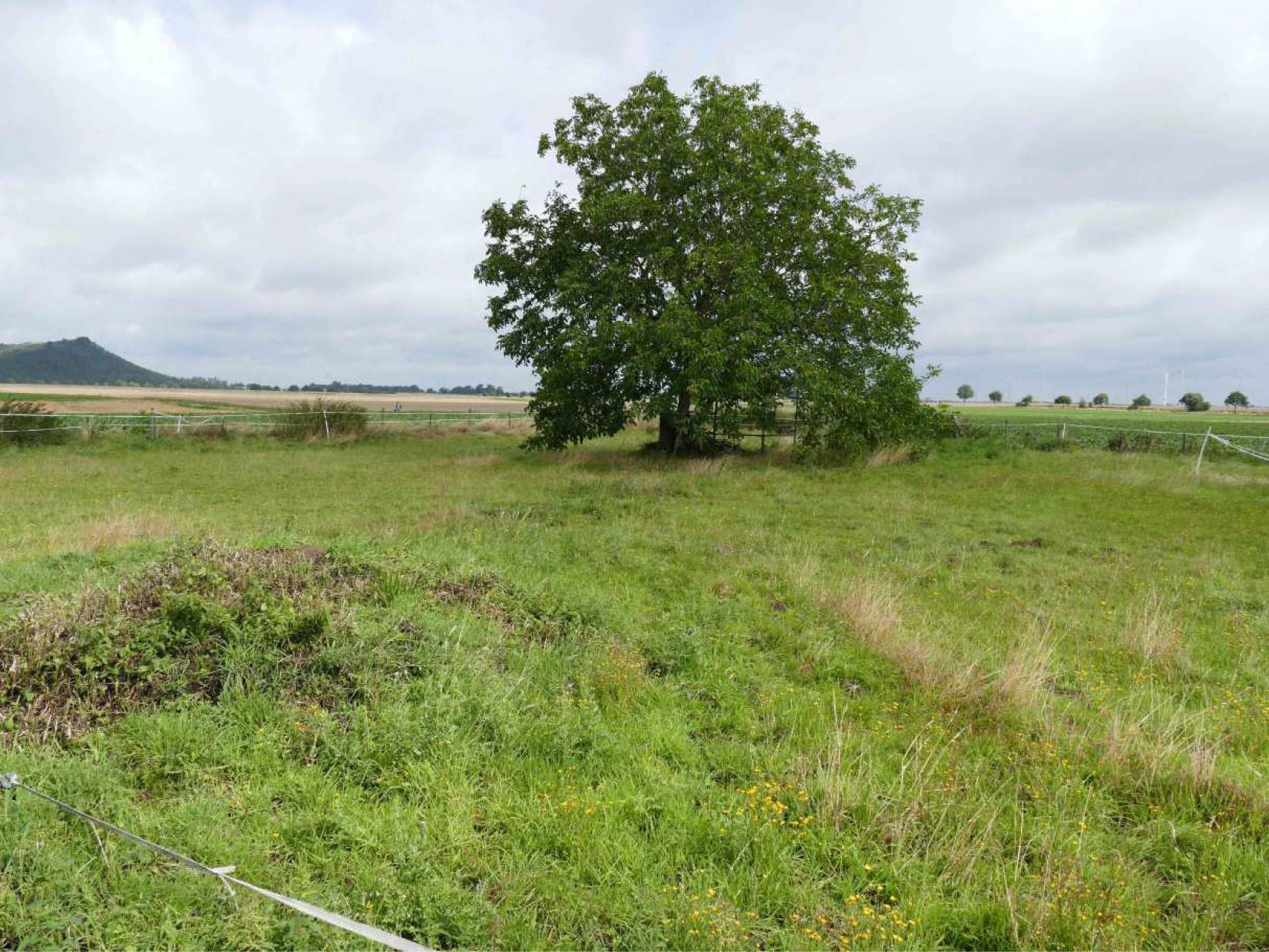 nordrheinwestpfalen 0007K0040-2022 St.-Ursula-Straße, 52457 Aldenhoven, Dürboslar