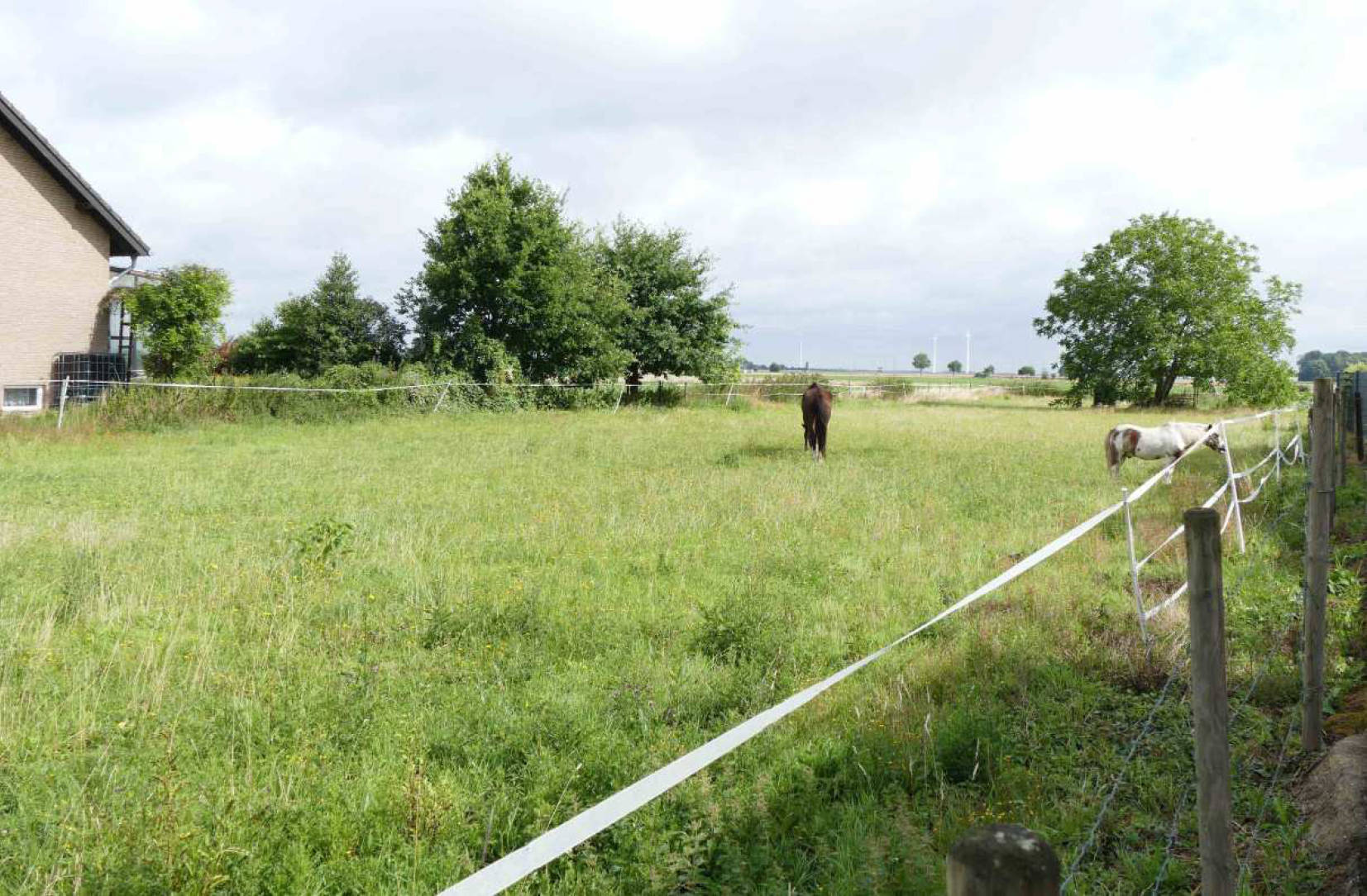 unbebautes Grundstück in St.-Ursula-Straße, 52457 Aldenhoven, Dürboslar - Bild 2