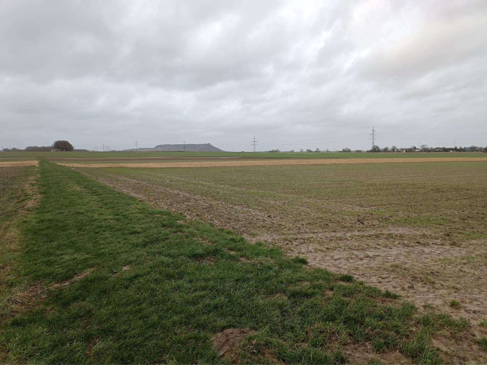 land- und forstwirtschaftlich genutztes Grundstück in Am Schleidener Kreuzweg, 52457 Aldenhoven, Dürboslar - Bild 3
