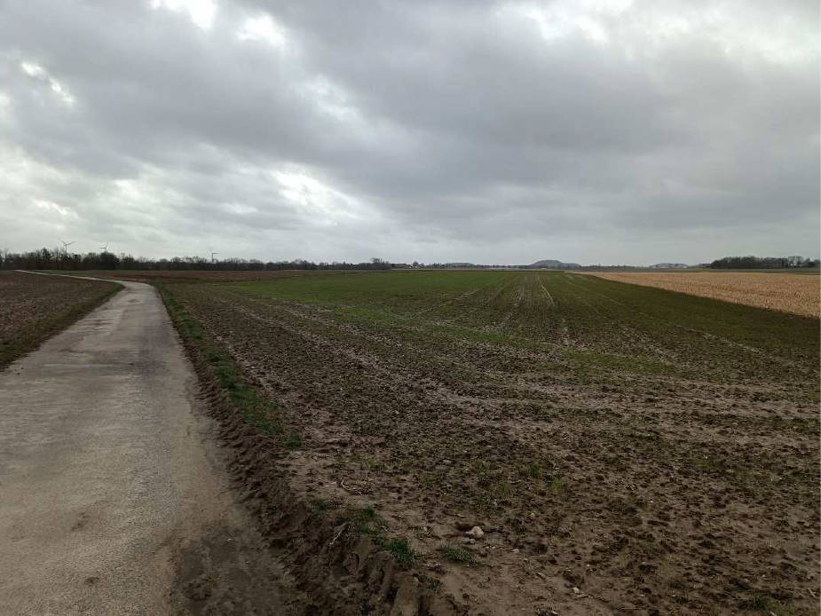 land- und forstwirtschaftlich genutztes Grundstück in Am Schleidener Kreuzweg, 52457 Aldenhoven, Dürboslar - Bild 4