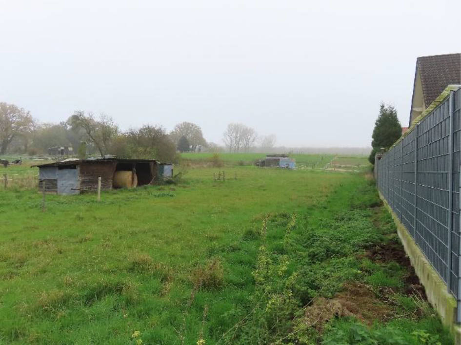 unbebautes Grundstück, land- und forstwirtschaftlich genutztes Grundstück in Hinter den Höfen, 52382 Niederzier, Hambach - Bild 2