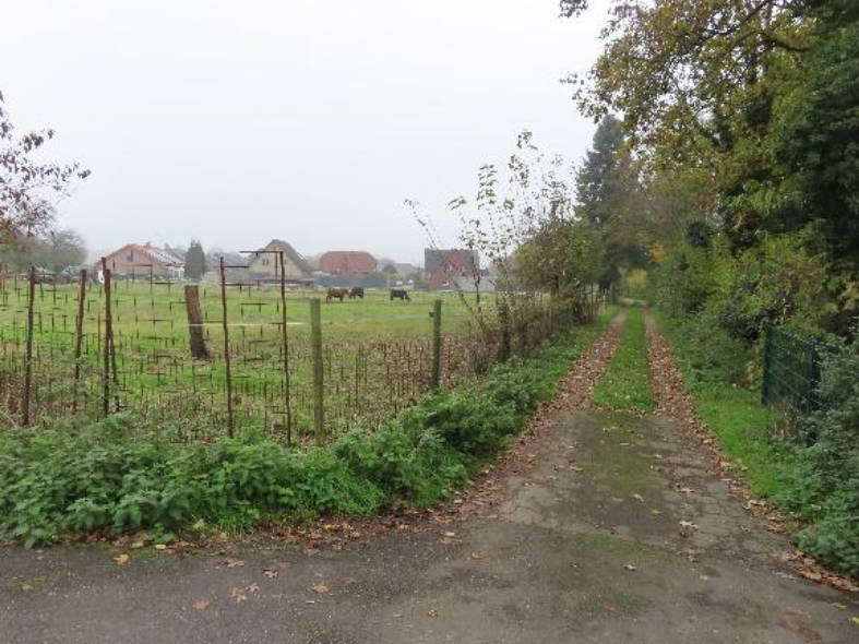 nordrheinwestpfalen 0007K0050/2023 Hinter den Höfen, 52382 Niederzier, Hambach 9