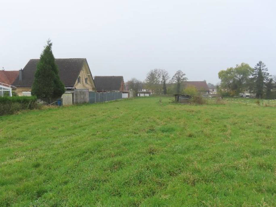 unbebautes Grundstück, land- und forstwirtschaftlich genutztes Grundstück in Hinter den Höfen, 52382 Niederzier, Hambach