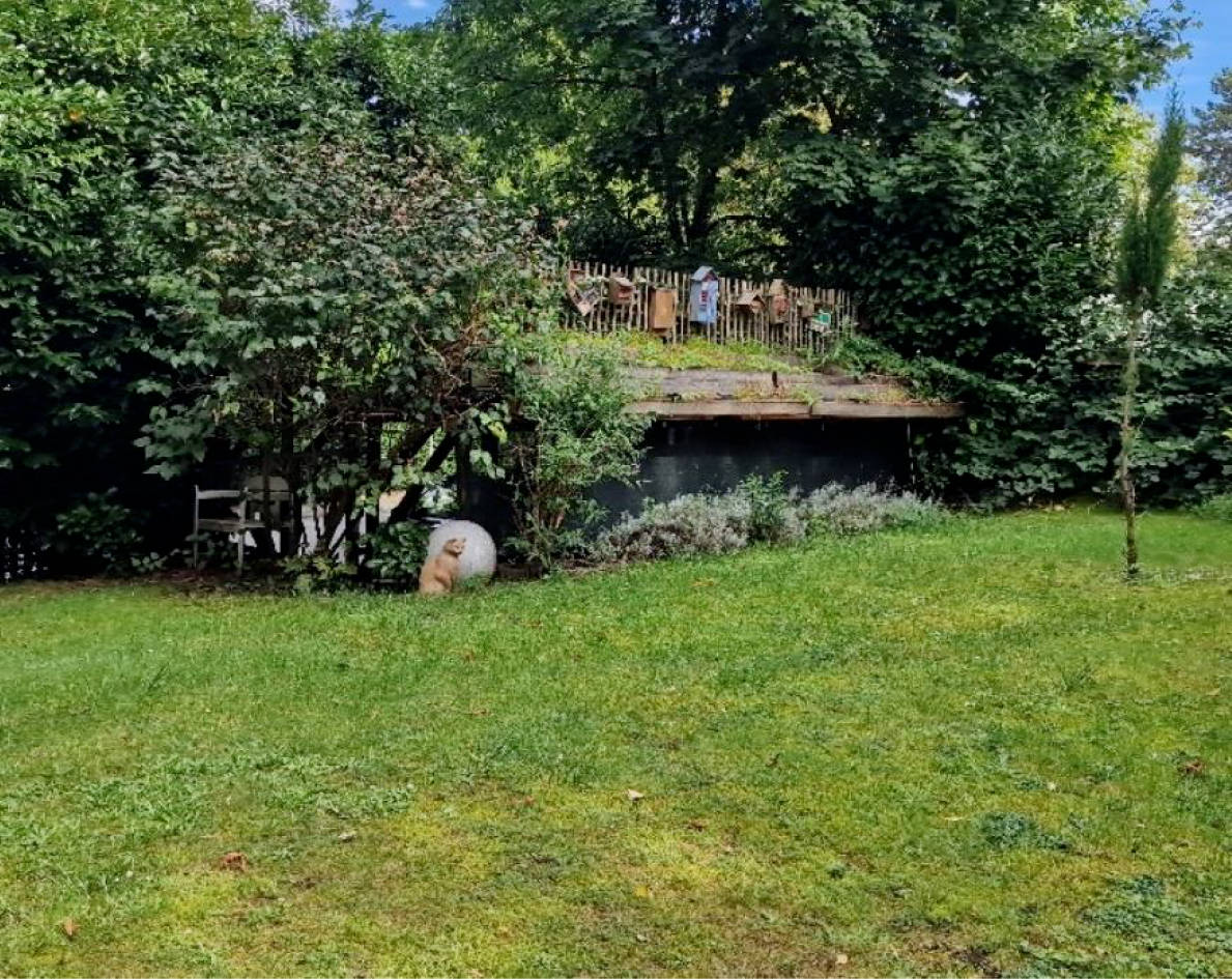 nordrheinwestpfalen 0007 K 0052/2022 Quellenstr. 35, 45481 Mülheim an der Ruhr, Saarn 8