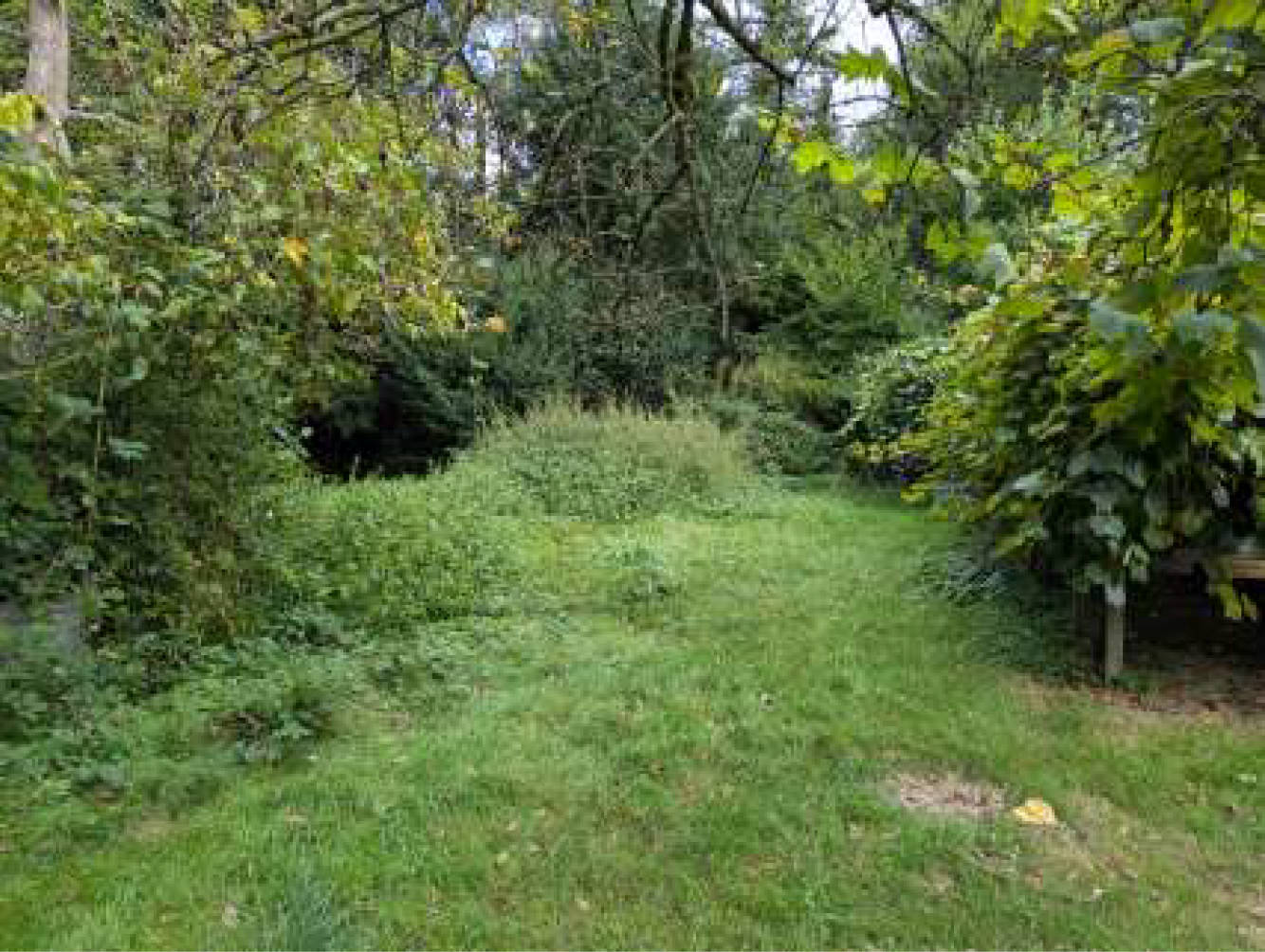 nordrheinwestpfalen 0007 K 0066/2024 Hexberg 47, 45475 Mülheim an der Ruhr, Dümpten 10