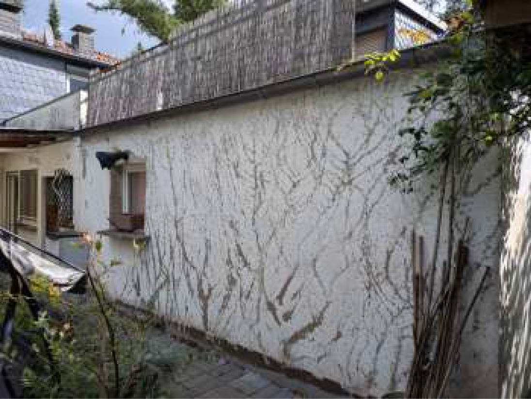 nordrheinwestpfalen 0007 K 0066/2024 Hexberg 47, 45475 Mülheim an der Ruhr, Dümpten 11