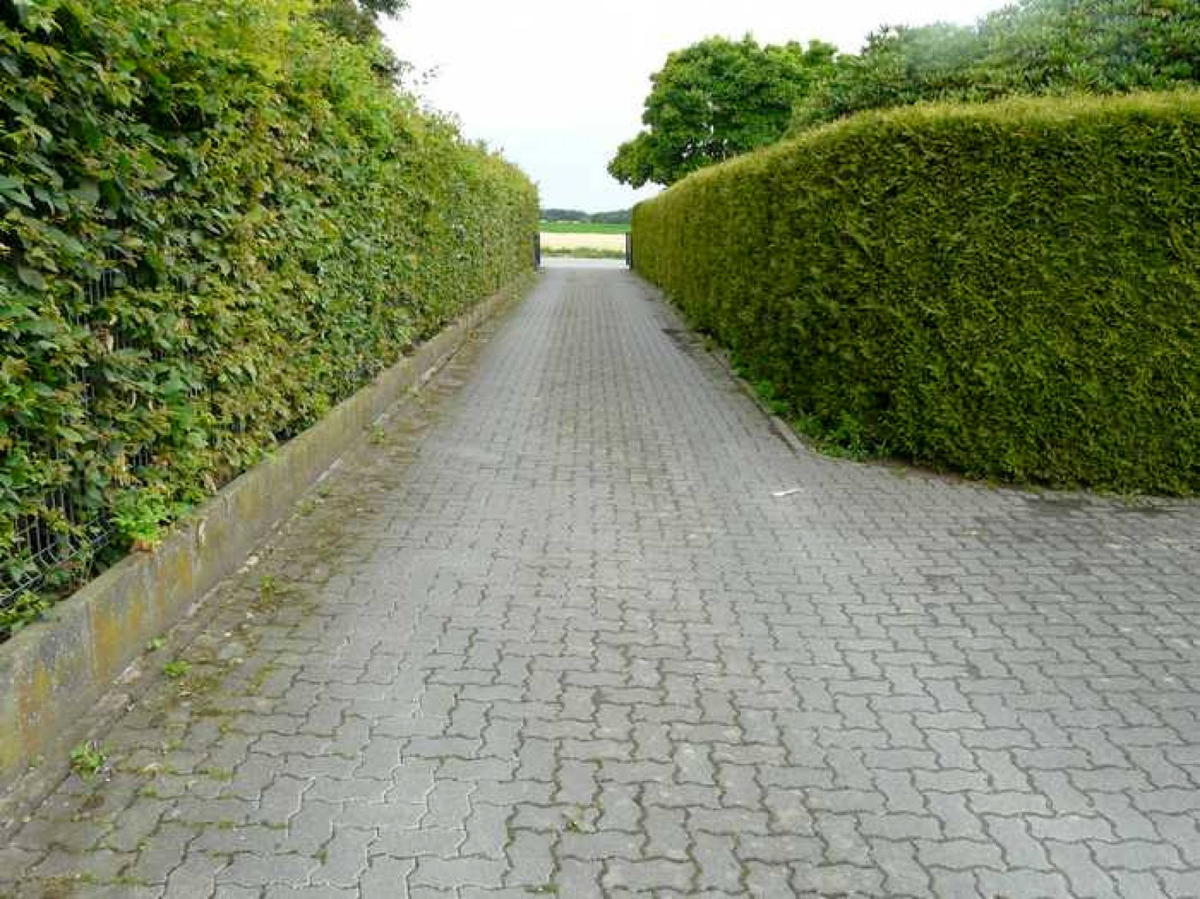 nordrheinwestpfalen 0008 K 0002/2025 Köttersweg 17, 59494 Soest 11