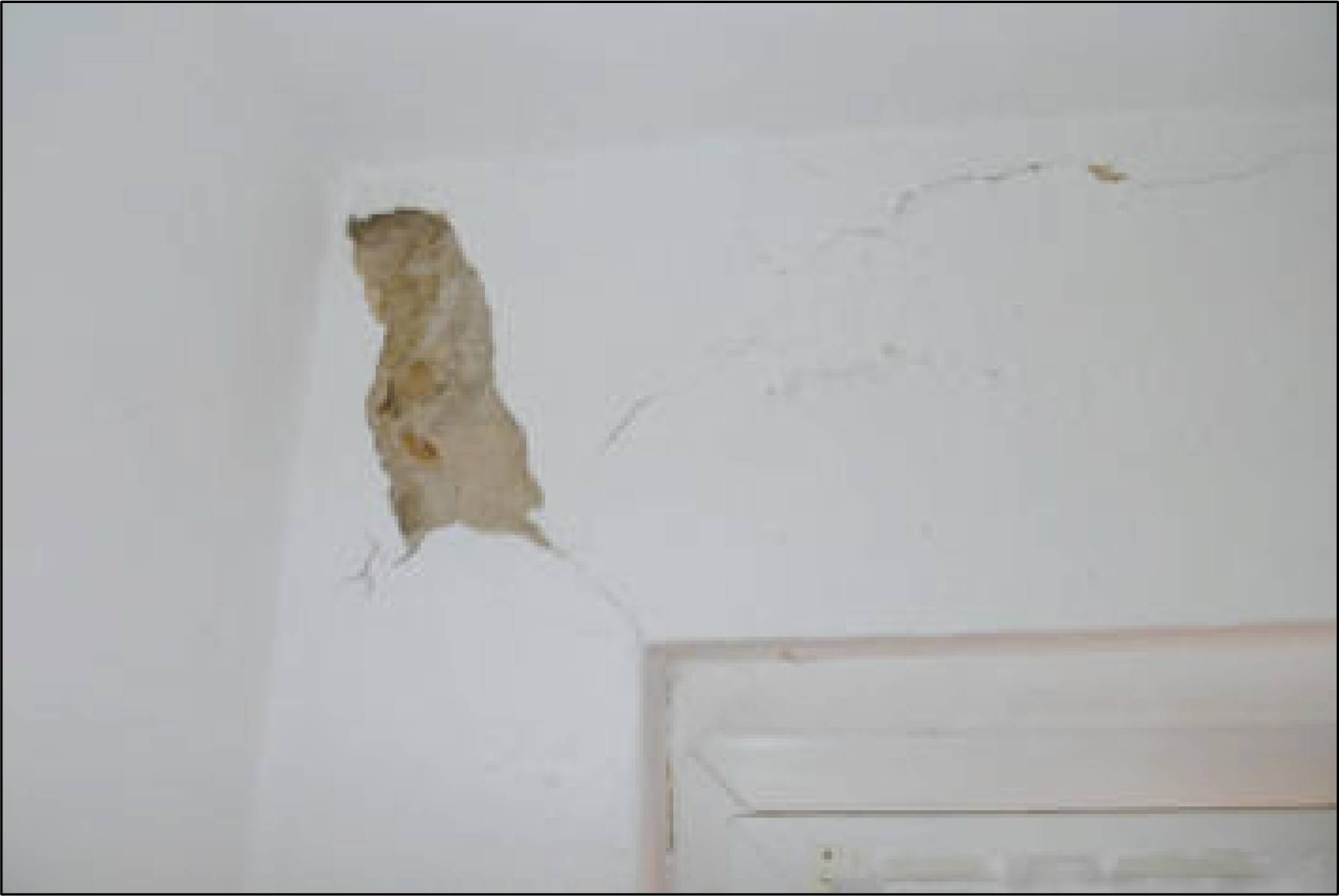 nordrheinwestpfalen 0008 K 0008/2023 Keplerstraße 105, 59229 Ahlen 11