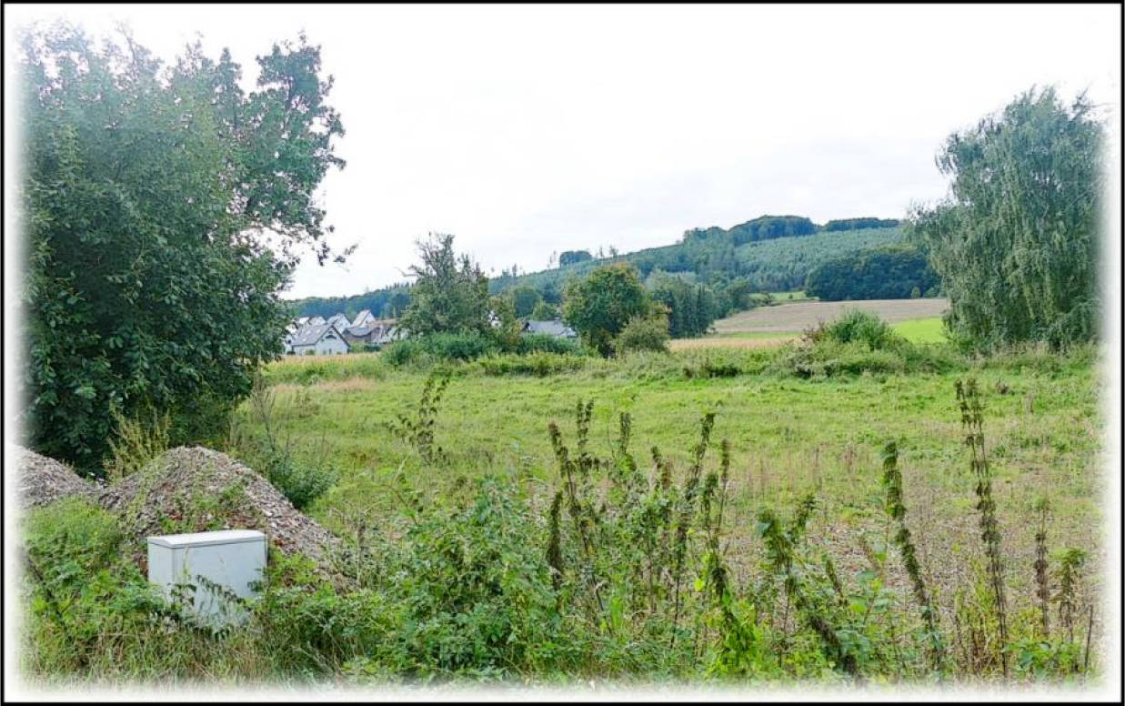 unbebautes Grundstück in Windmühlenfeld 41, 32312 Lübbecke, Eilhausen - Bild 3