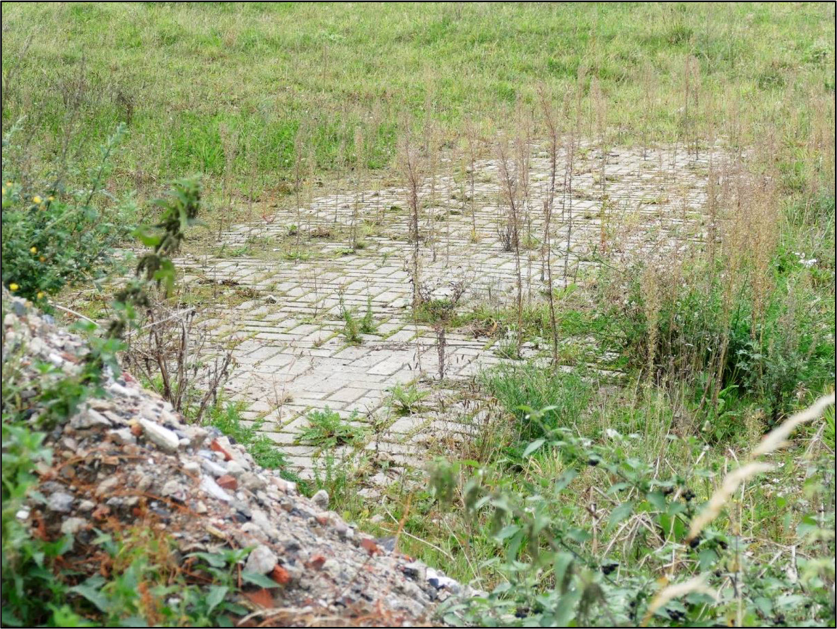 unbebautes Grundstück in Windmühlenfeld 41, 32312 Lübbecke, Eilhausen - Bild 2