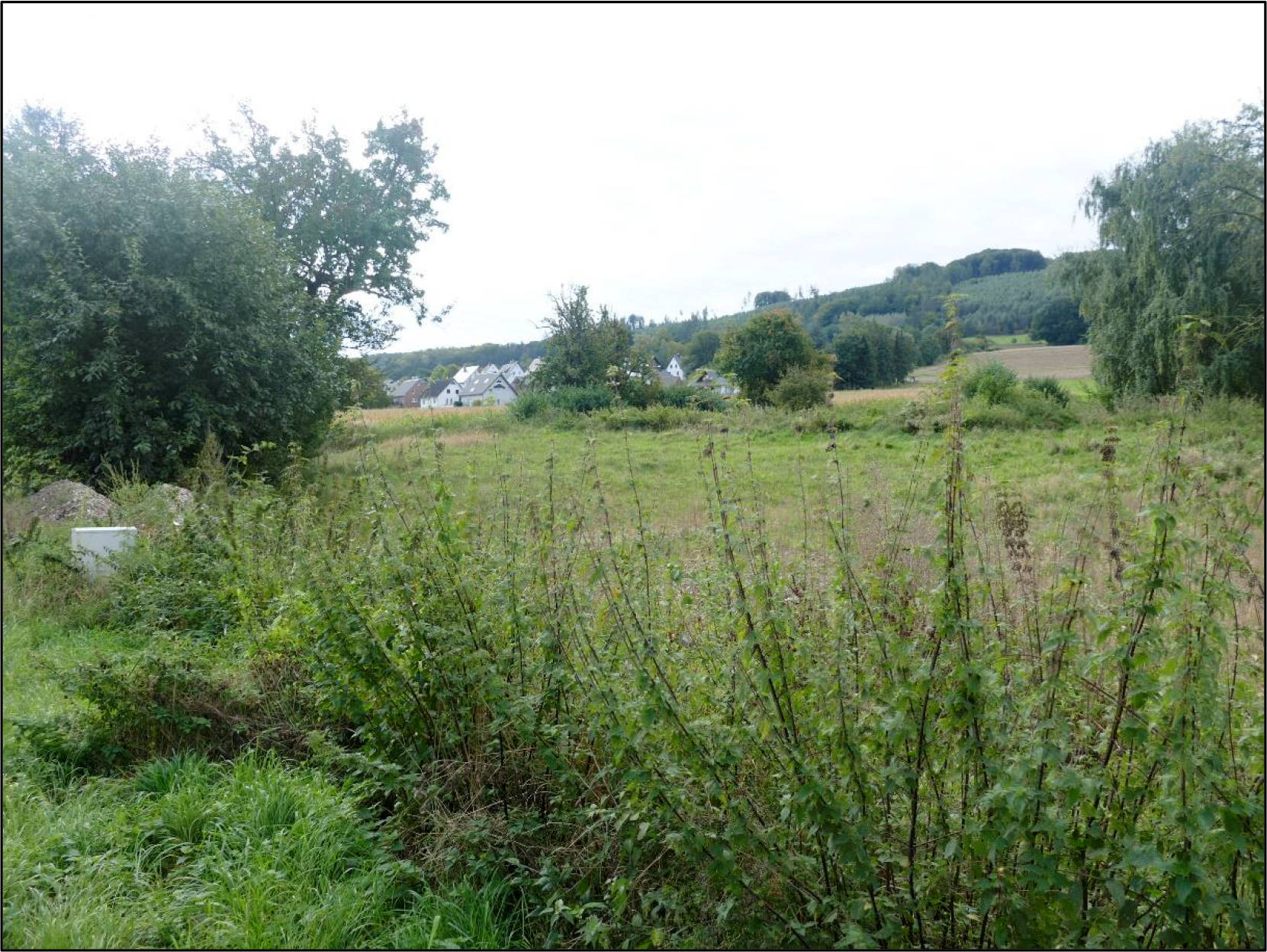 unbebautes Grundstück in Windmühlenfeld 41, 32312 Lübbecke, Eilhausen - Bild 4
