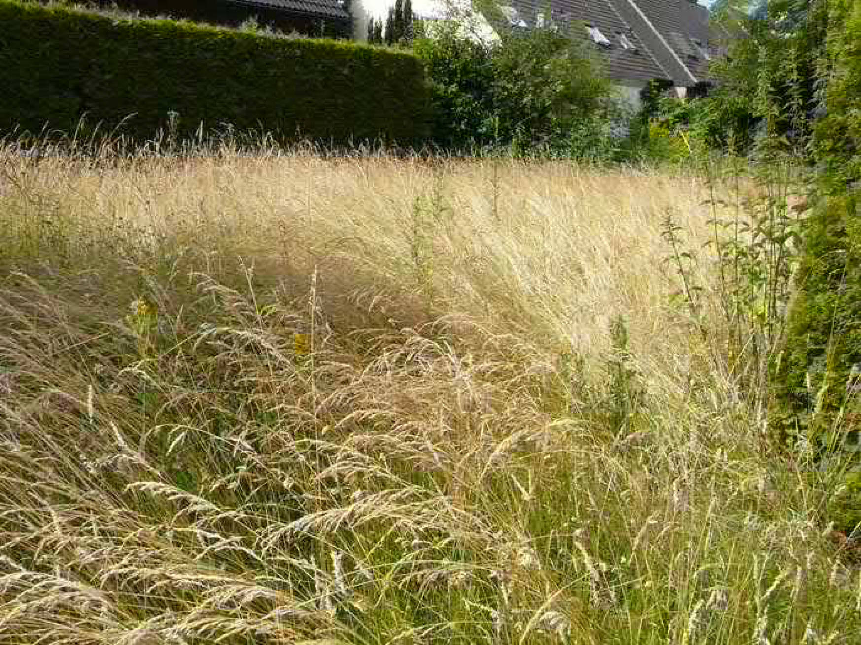 nordrheinwestpfalen 0008K0011-2022 Klusenerweg 38 a, 59494 Soest