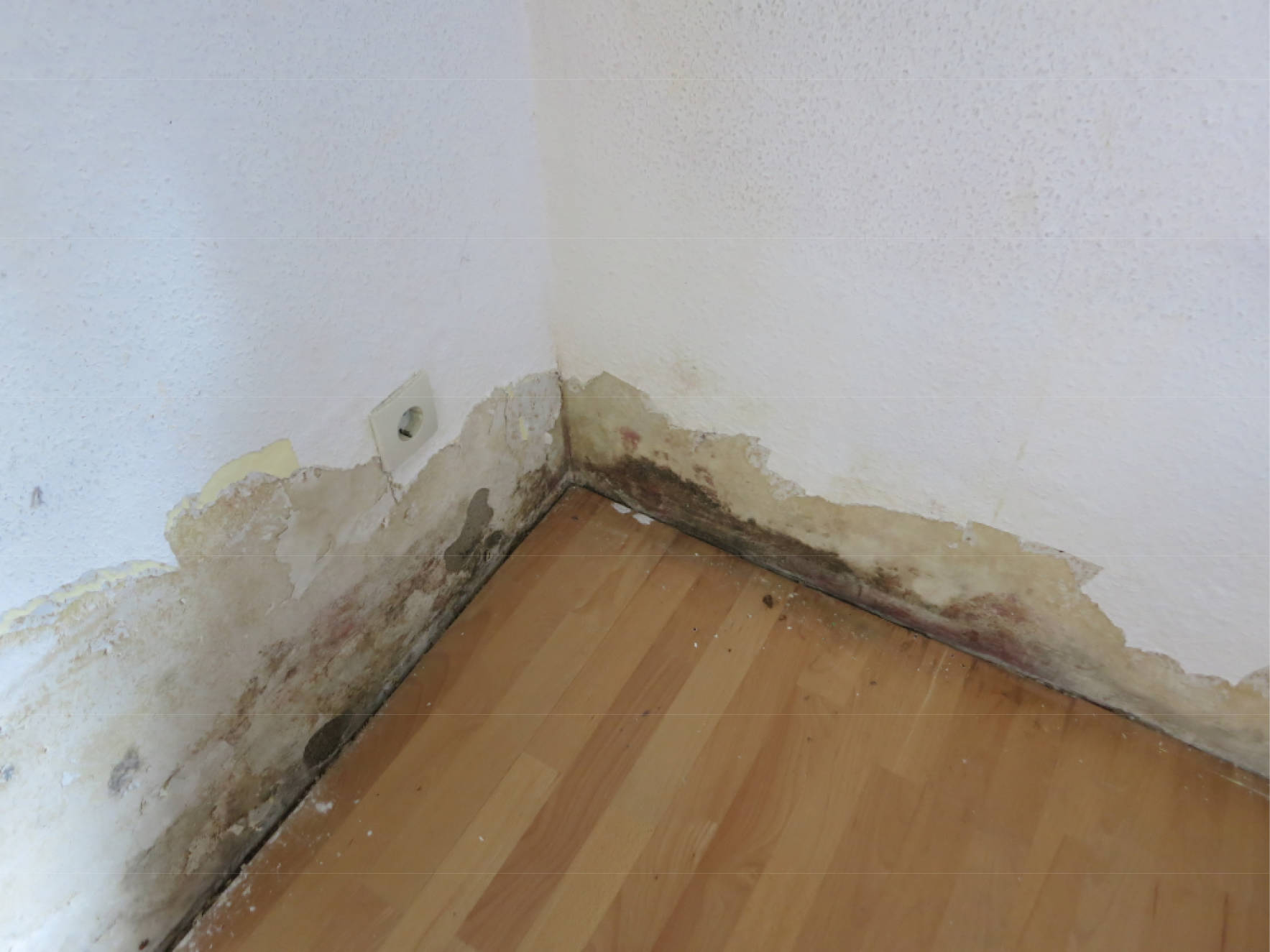 Einfamilienhaus in Breede 12, 48324 Sendenhorst - Bild 4