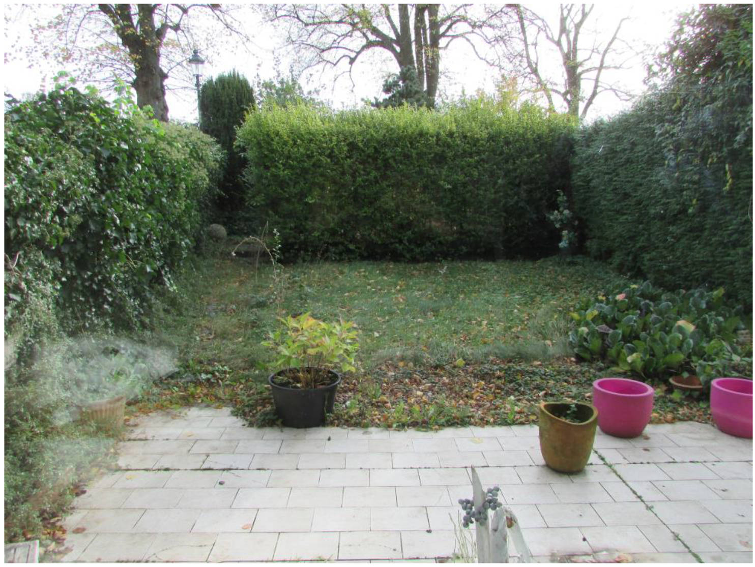 nordrheinwestpfalen 0008K0028-2023 Oberstadt 44, 46459 Rees