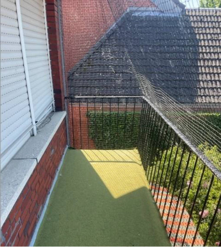Garage, Einfamilienhaus in Breslauer Str. 5, 48268 Greven - Bild 3