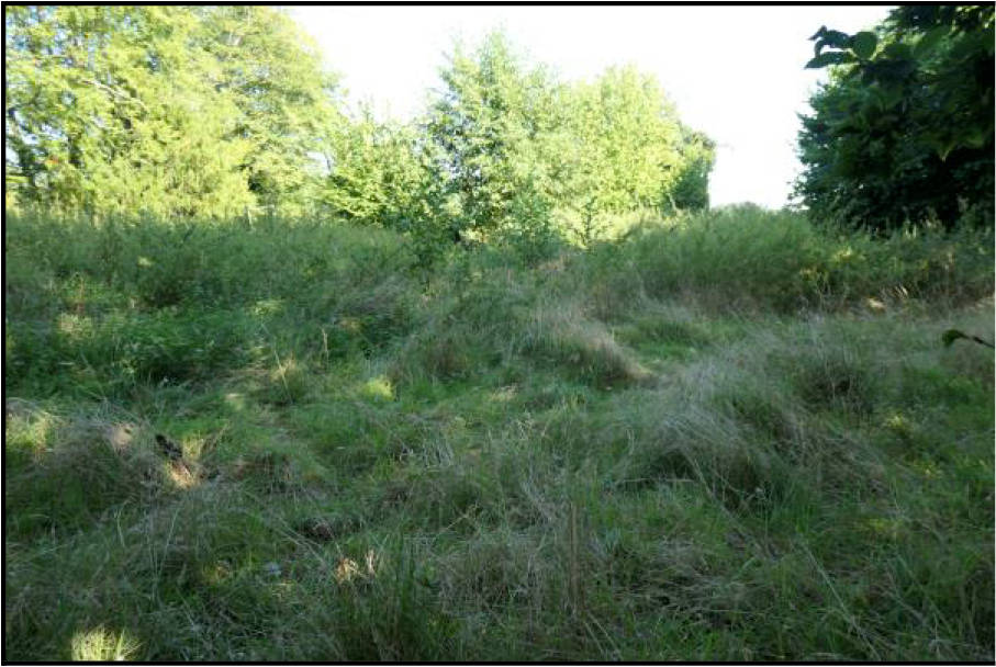 nordrheinwestpfalen 0009K0014-2023 Nordwalder Straße 85, Goren, Breye, 48268 Greven