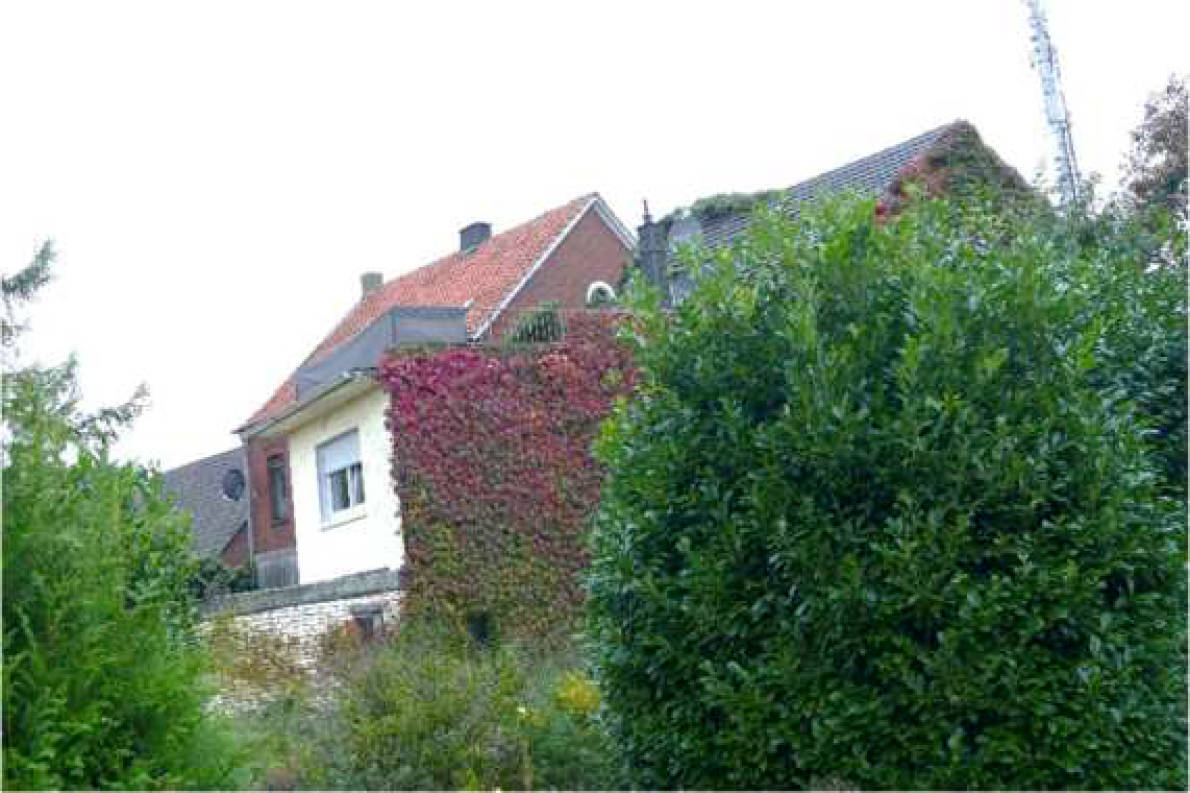nordrheinwestpfalen 0009K0014-2024 Neutor 19, 48629 Metelen 16