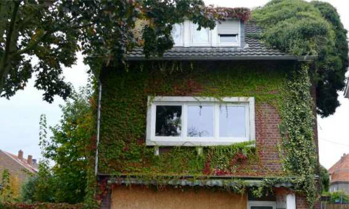 nordrheinwestpfalen 0009K0014-2024 Neutor 19, 48629 Metelen 8