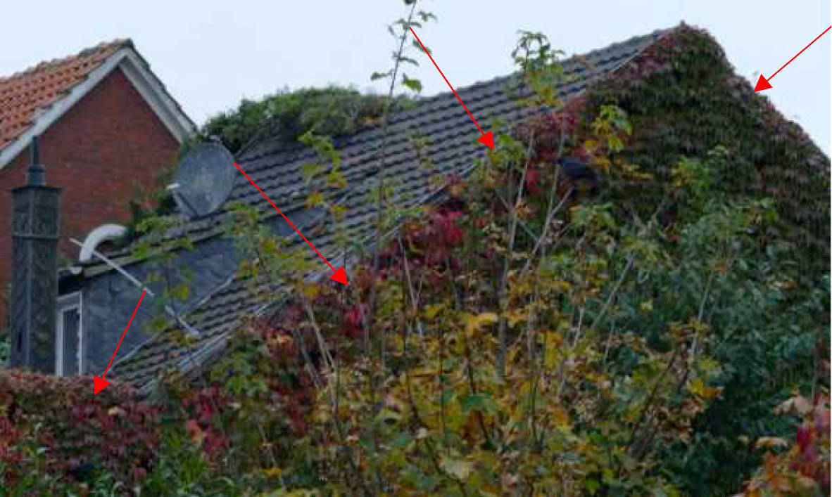 Wohn-/Geschäftshaus in Neutor 19, 48629 Metelen - Bild 3