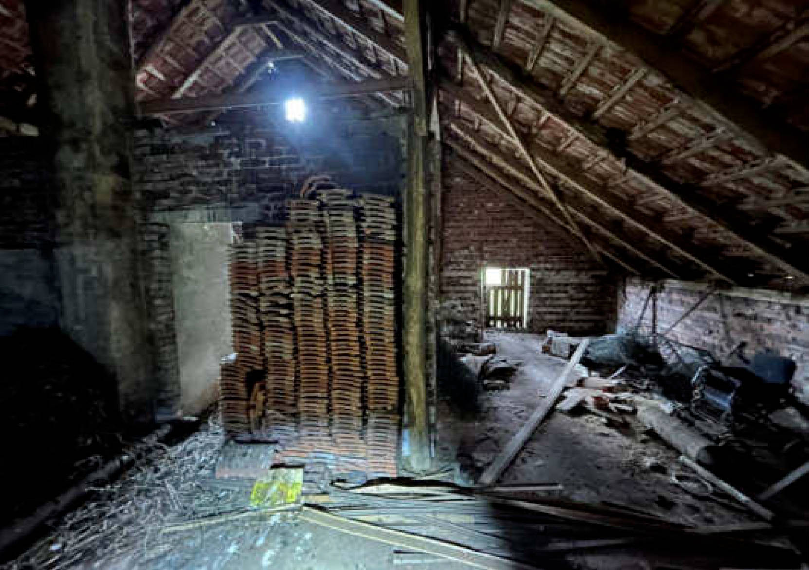 land- und forstwirtschaftlich genutztes Grundstück, Einfamilienhaus in Bilk 92, Harwing Esch, 48493 Wettringen - Bild 3
