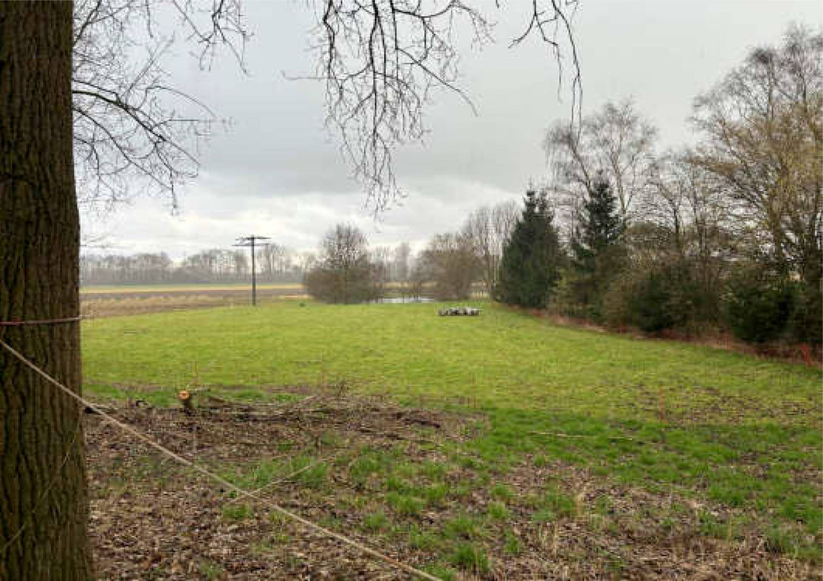 nordrheinwestpfalen 0009K0022/2024 Bilk 92, Harwing Esch, 48493 Wettringen 10