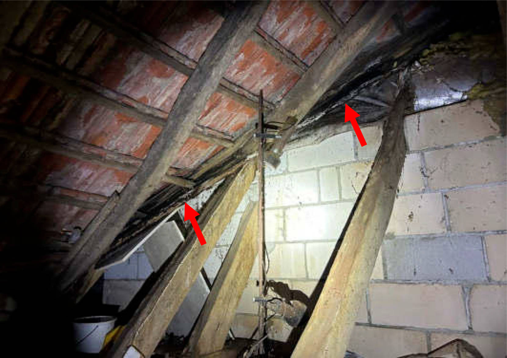 land- und forstwirtschaftlich genutztes Grundstück, Einfamilienhaus in Bilk 92, Harwing Esch, 48493 Wettringen - Bild 4