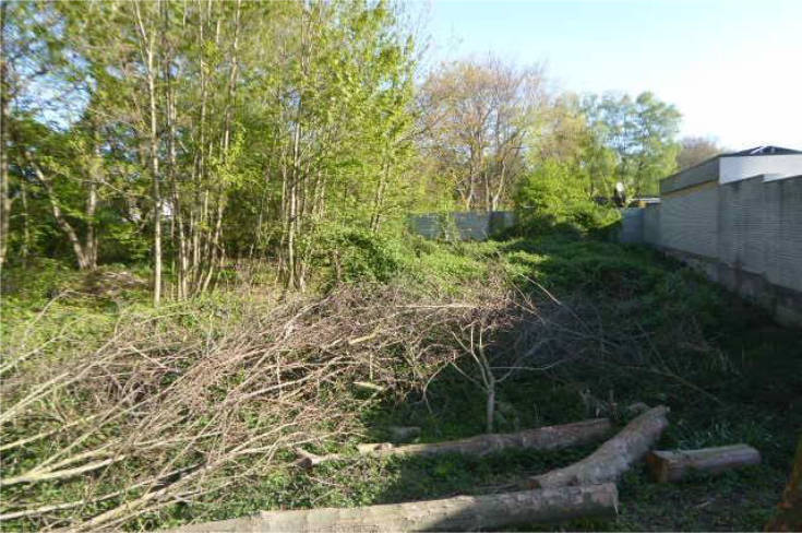 unbebautes, ungenutztes Grundstück in Bönninghausenweg, 46399 Bocholt