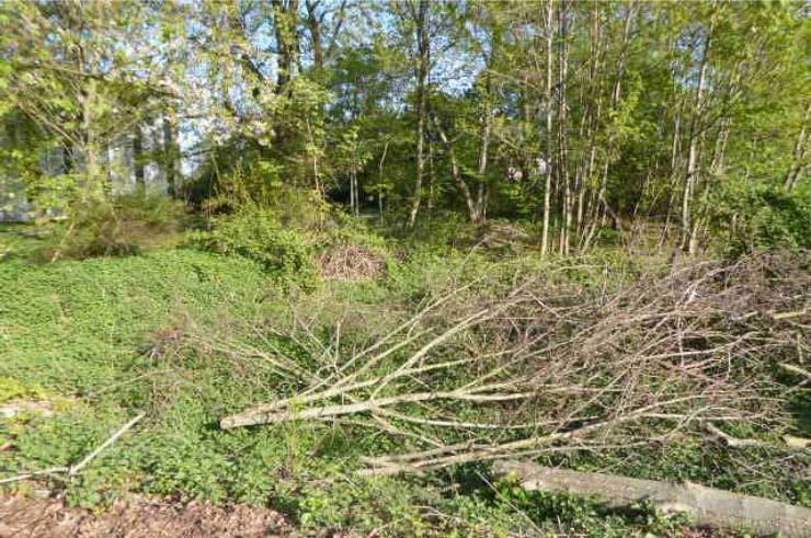 unbebautes, ungenutztes Grundstück in Bönninghausenweg, 46399 Bocholt - Bild 2