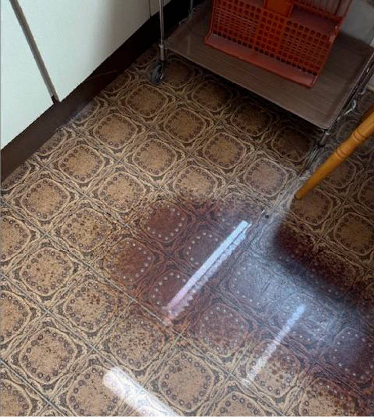 nordrheinwestpfalen 0009 K 0025/2024 Gartenstraße 21, 46419 Isselburg 12