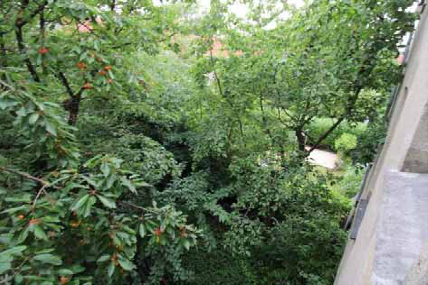 nordrheinwestpfalen 0009K0027/2022 Kinderhauser Str. 29 und 31, 48149 Münster 19