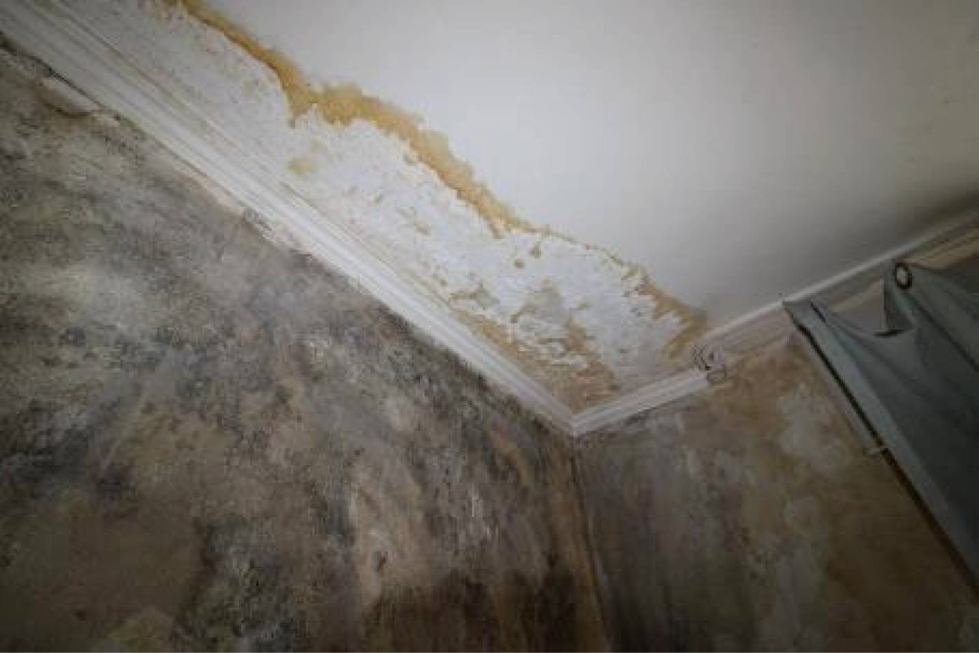 nordrheinwestpfalen 0009 K 0031/2023 Saarstraße 8, 48145 Münster 12