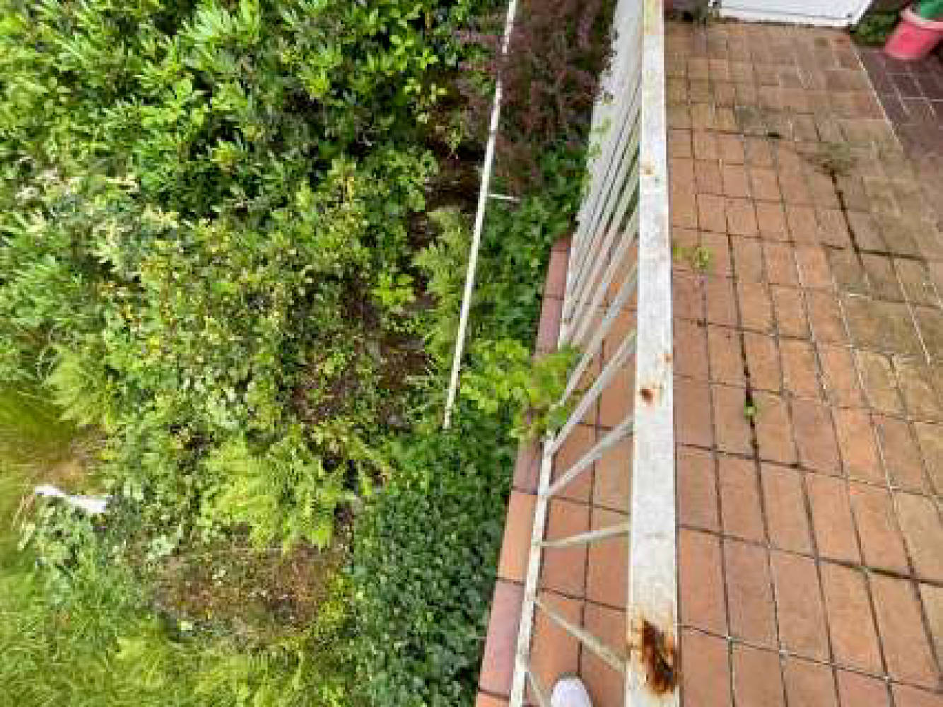 nordrheinwestpfalen 0010K0005-2024 Am Fichtenhang 1, 34431 Marsberg