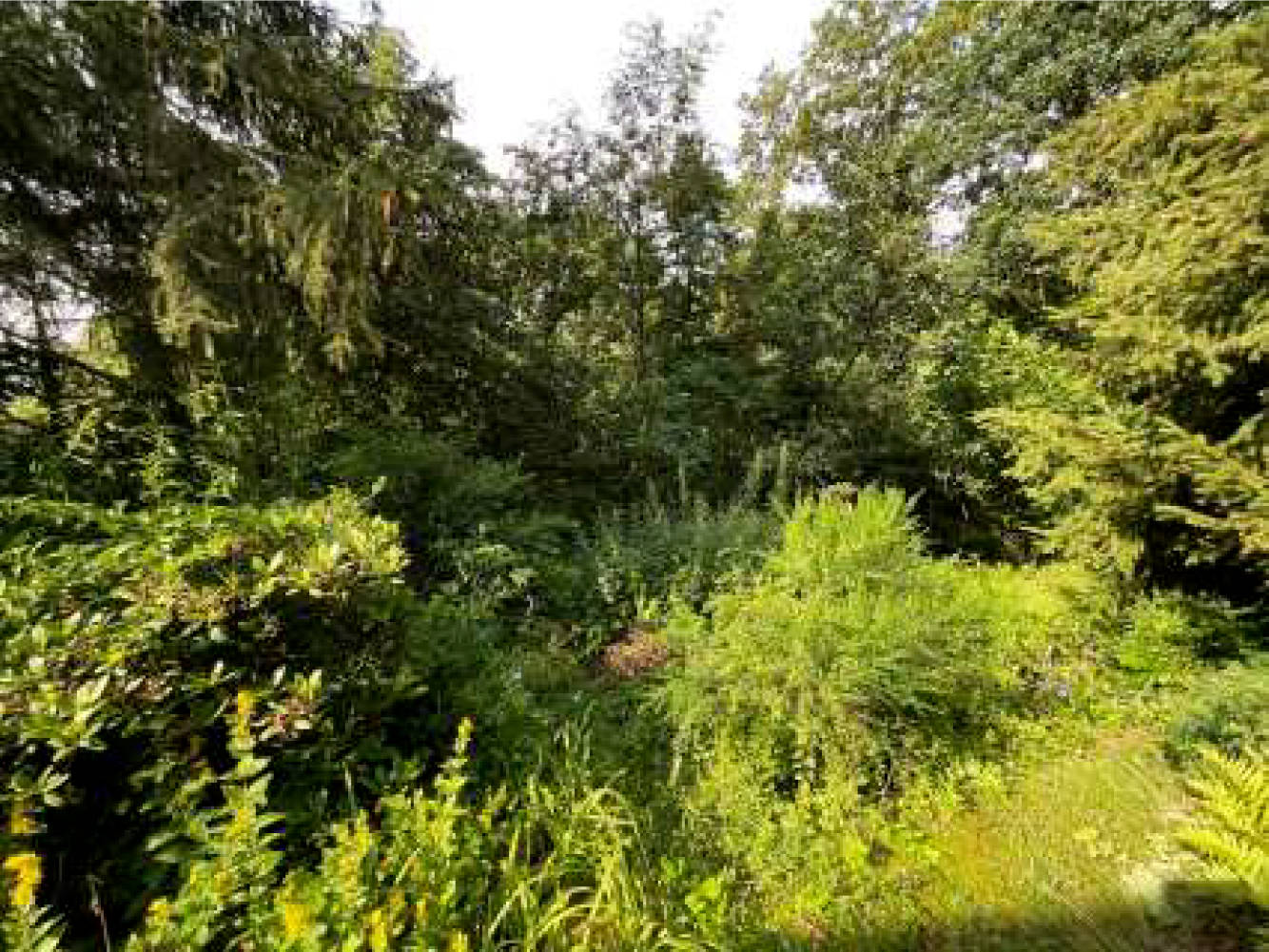 nordrheinwestpfalen 0010K0005-2024 Am Fichtenhang 1, 34431 Marsberg