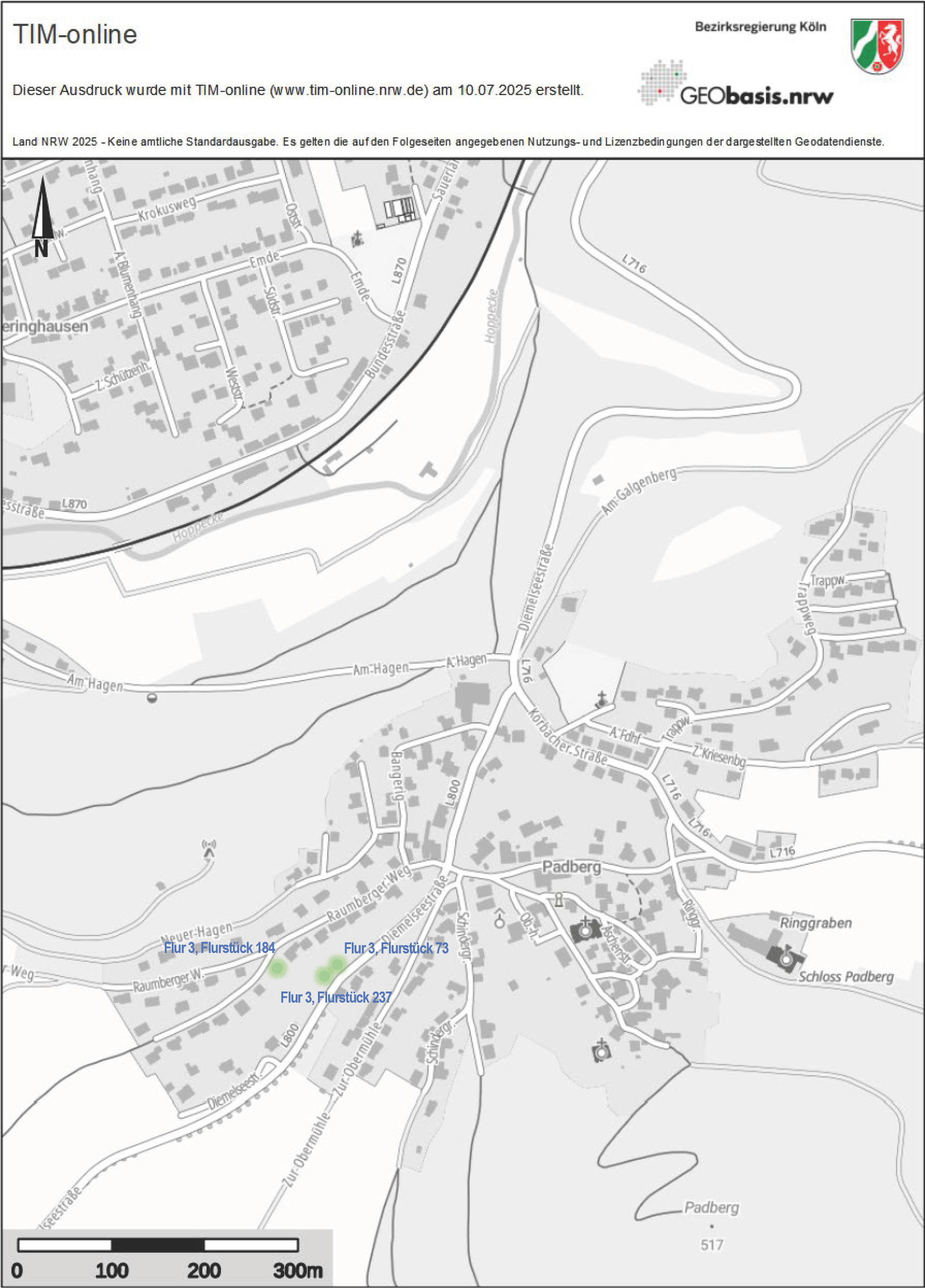 Sonstiges, Mehrfamilienhaus, Einfamilienhaus, diverse land- und fortwirtschaftlich genutzte Grundstücke in siehe amtliche Bekanntmachung, 34431 Marsberg, Padberg und Niedermarsberg - Bild 4
