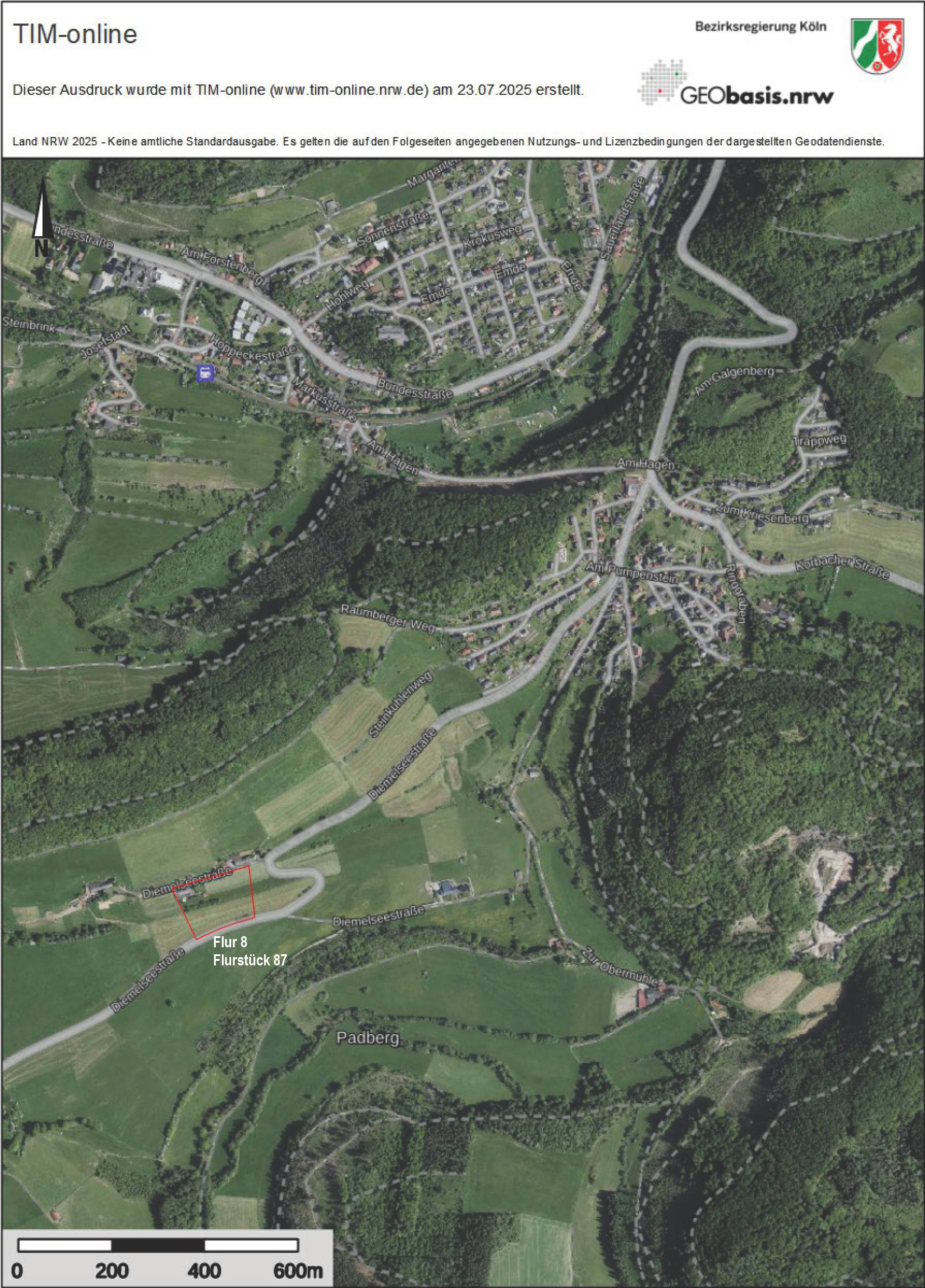 Sonstiges, Mehrfamilienhaus, Einfamilienhaus, diverse land- und fortwirtschaftlich genutzte Grundstücke in siehe amtliche Bekanntmachung, 34431 Marsberg, Padberg und Niedermarsberg - Bild 5